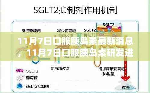 11月7日口服胰岛素最新研发进展与深度解析