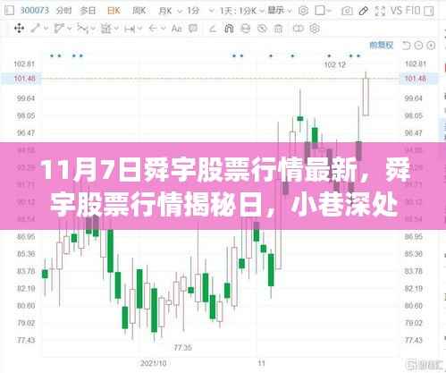 舜宇股票行情最新揭秘与小巷深处的独特风味探索(11月7日)
