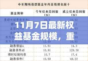 关于我们 第378页