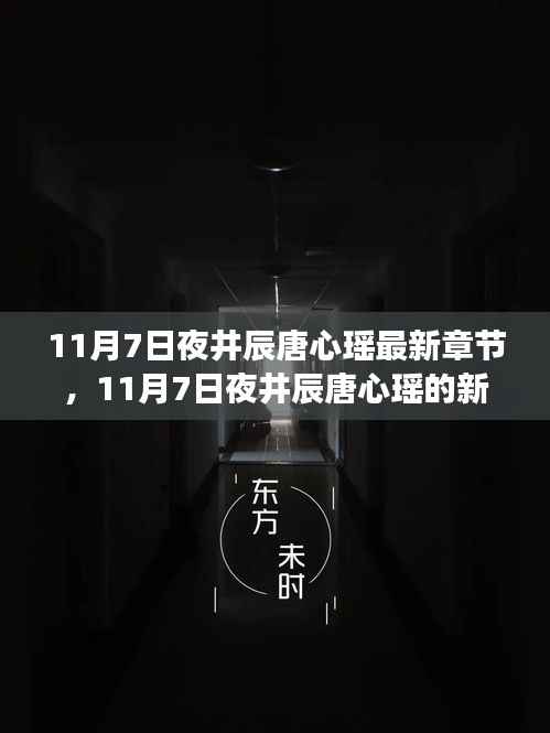 11月7日夜井辰唐心瑶新篇章,学习之旅的蜕变与成就感的魔法之旅