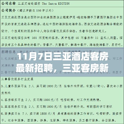 三亚酒店客房最新招聘启事,奇遇与重逢的十一月篇章