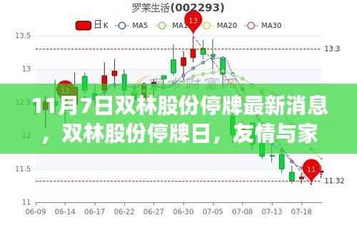 双林股份停牌日,友情与家庭的温暖时光,最新消息揭秘
