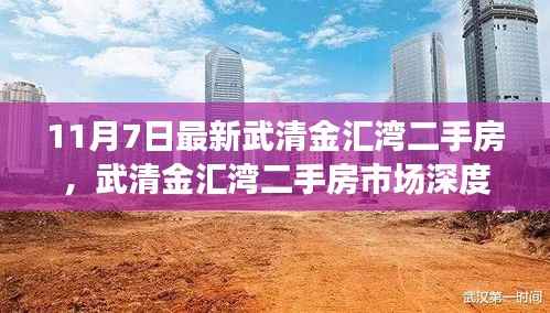 武清金汇湾二手房市场深度解析,背景、现状与地位(最新情报)