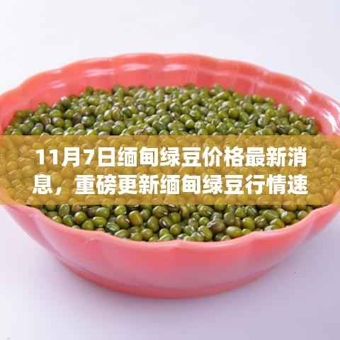 缅甸绿豆行情速递,最新价格动态揭秘(11月7日更新)
