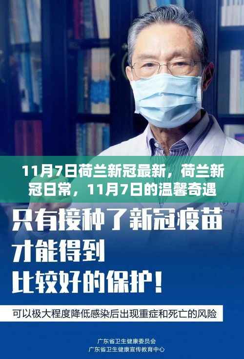 荷兰新冠疫情最新动态,日常更新与友情纽带下的温馨奇遇