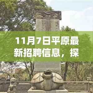 11月7日平原招聘探索自然美景之旅,寻找内心的宁静与平和的新职位