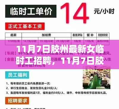 11月7日胶州女临时工招聘全新解析与介绍