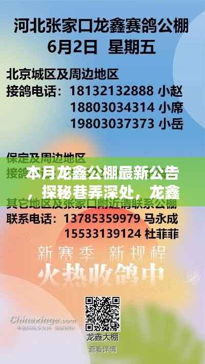 探秘巷弄独特小店风采,龙鑫公棚本月最新公告揭秘