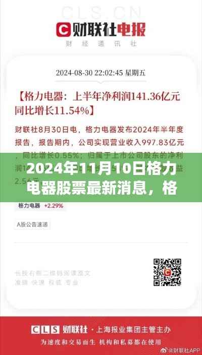 格力电器最新消息解析,聚焦投资观点,洞悉投资机遇(2024年11月10日)