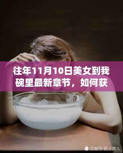 往年11月10日美女到我碗里最新章节获取指南,详细步骤解析