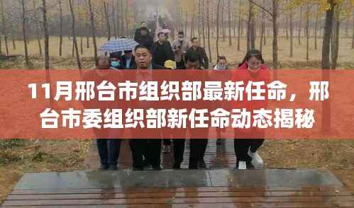 邢台市委组织部最新任命动态及小巷深处独特风味探索揭秘