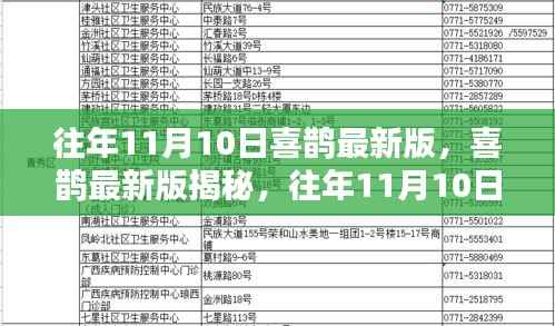 揭秘往年11月10日喜鹊最新动态与三大看点
