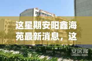 安阳鑫海苑本周动态,最新消息全解析
