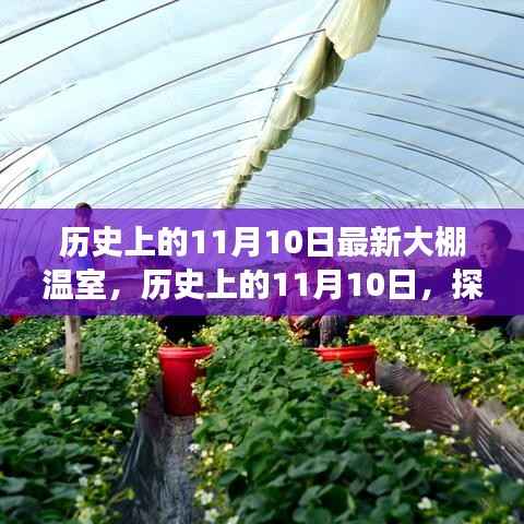 历史上的11月10日，探寻最新大棚温室技术的演变历程