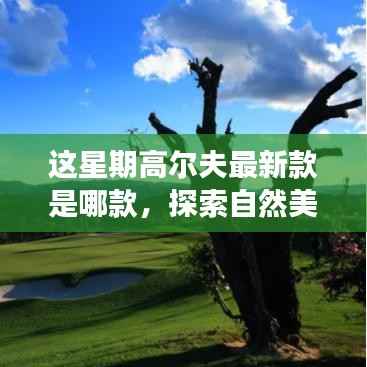 江南烟雨断桥殇 第5页