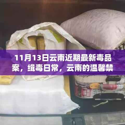 云南禁毒日常,最新毒品案与温馨禁毒故事