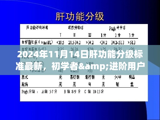 初学者与进阶用户必备,2024年最新肝功能分级标准详解与步骤指南