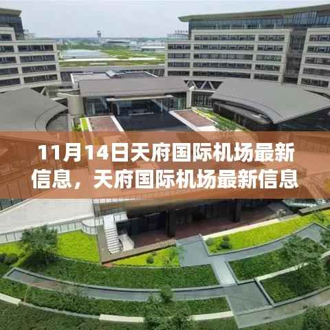天府国际机场最新进展与影响解析,11月14日更新
