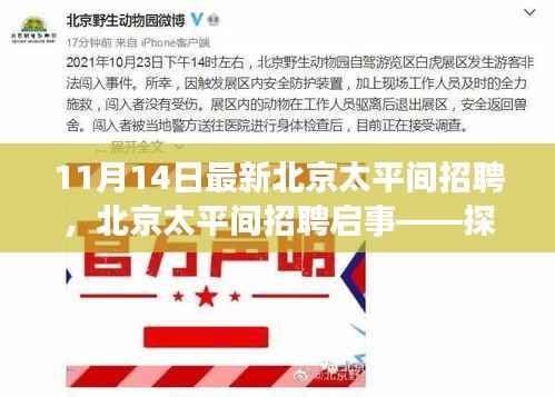 星星打烊 第5页