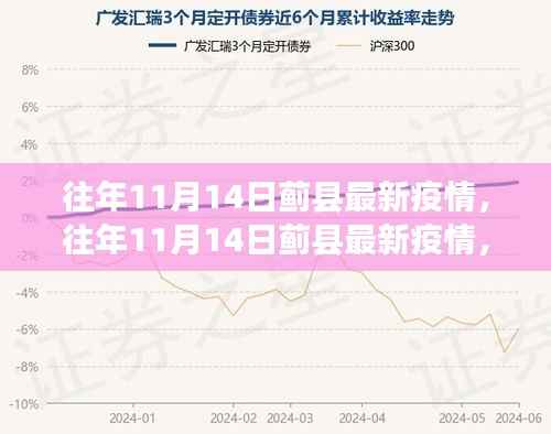 往年11月14日蓟县疫情最新动态，深度分析与个人观点观察报告