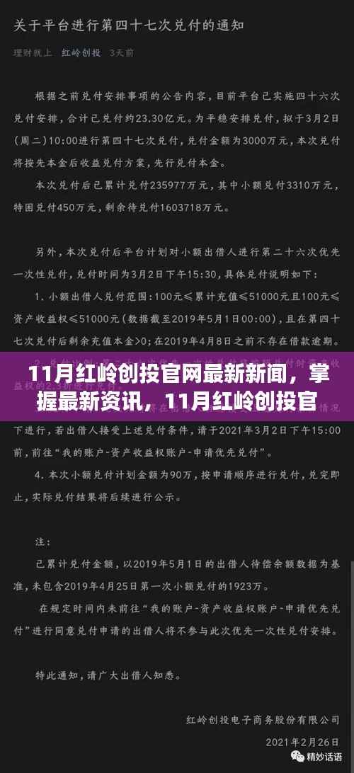 11月红岭创投官网新闻速递,最新资讯与获取步骤指南