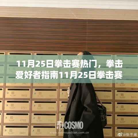 11月25日拳击赛热门指南,一步步成为赛场达人