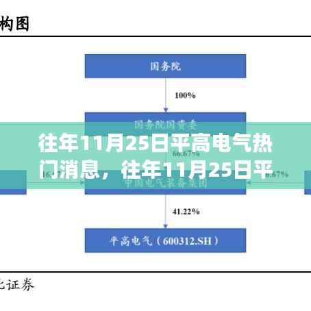 往年11月25日平高电气热门消息深度解析，特性、体验、竞争分析与用户洞察