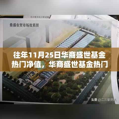 华商盛世基金热门净值解析,十一月二十五日数据一览