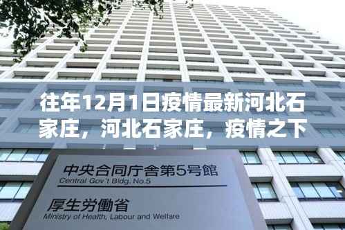 河北石家庄疫情下的科技革新,智能产品引领生活革新