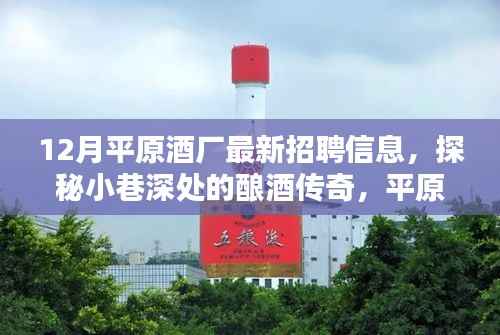平原酒厂12月最新招聘信息揭秘,探秘酿酒传奇,小巷深处的职业机会