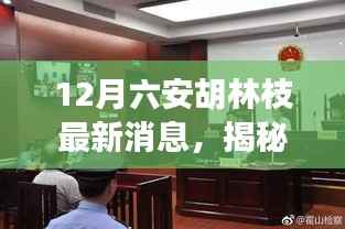 揭秘胡林枝最新动态,六安胡林枝消息全攻略(初学者与进阶指南)
