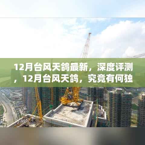 深度解析,台风天鸽的独特之处与最新动态