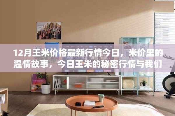 今日王米价格揭秘,温情故事与友情日常中的秘密行情