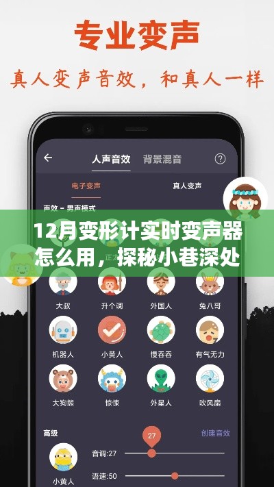 揭秘,12月变形计实时变声器的使用指南与神奇魅力探秘小巷深处的声域变化故事