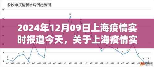 2024年12月09日上海疫情实时报道获取指南,初学者如何轻松获取最新信息