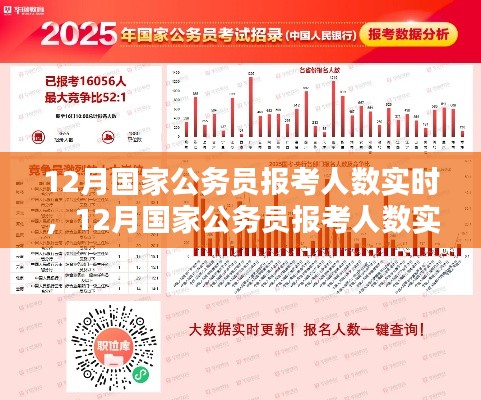 12月国家公务员报考人数实时分析与趋势探讨,数据、策略一览