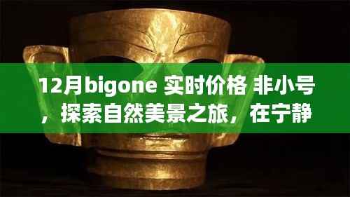 十二月Bigone带你探索自然美景,远离尘嚣体验内心的平和与喜悦之旅实时价格非小号之旅