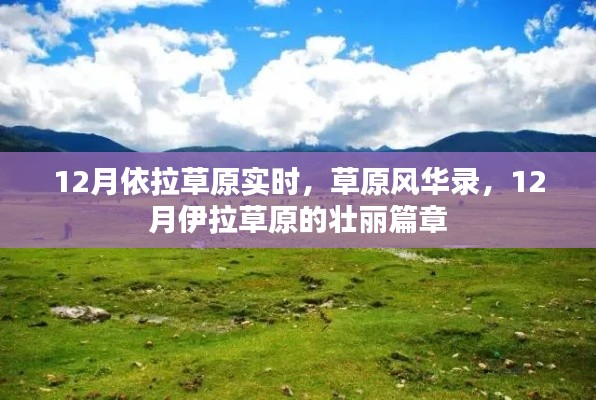 12月伊拉草原壮丽风华录，草原实时壮丽篇章