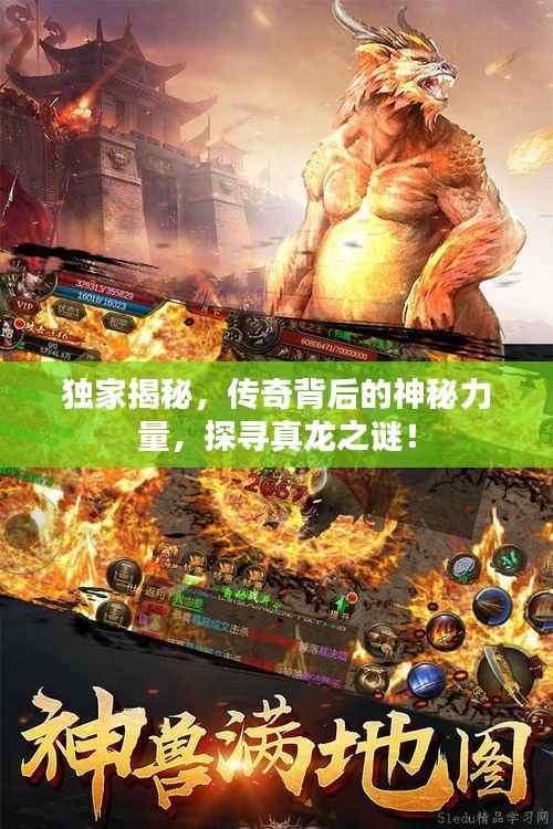 独家揭秘,传奇背后的神秘力量,探寻真龙之谜!