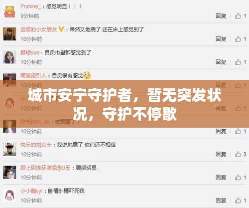 城市安宁守护者,暂无突发状况,守护不停歇