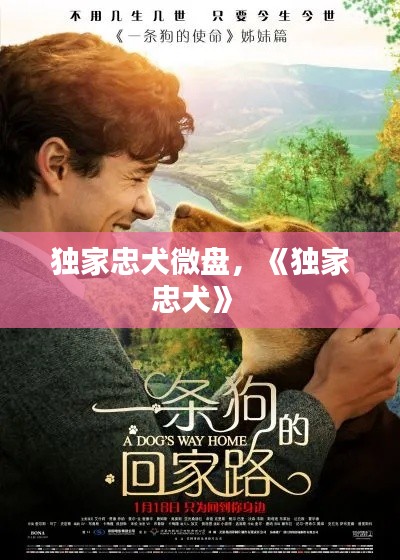 独家忠犬微盘,《独家忠犬》