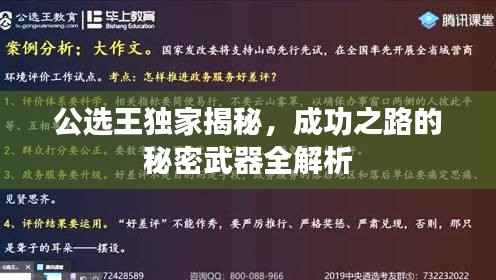 公选王独家揭秘,成功之路的秘密武器全解析