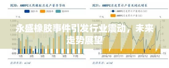 永盛橡胶事件引发行业震动,未来走势展望