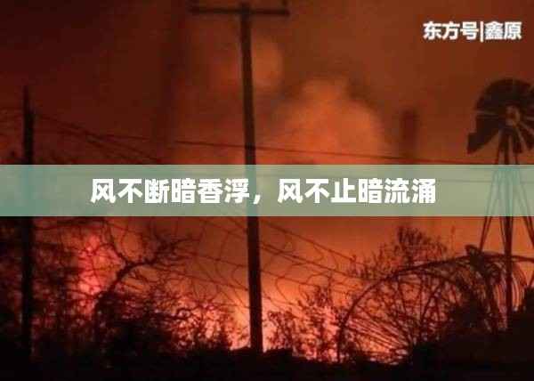 风不断暗香浮,风不止暗流涌