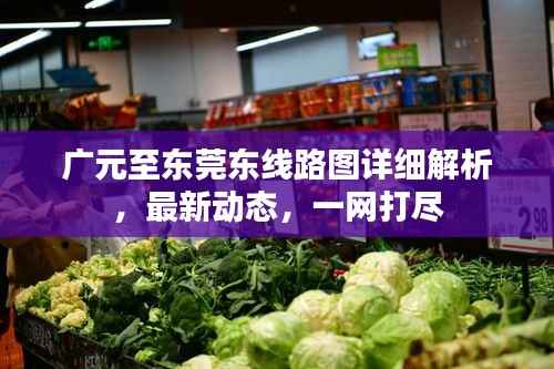 广元至东莞东线路图详细解析,最新动态,一网打尽