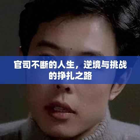 官司不断的人生,逆境与挑战的挣扎之路