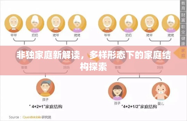 非独家庭新解读,多样形态下的家庭结构探索