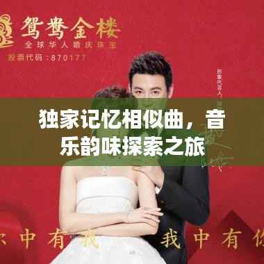 独家记忆相似曲,音乐韵味探索之旅