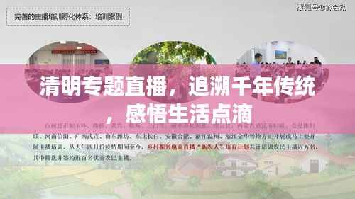 清明专题直播,追溯千年传统,感悟生活点滴
