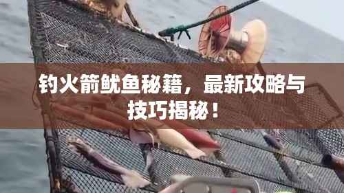 钓火箭鱿鱼秘籍，最新攻略与技巧揭秘！